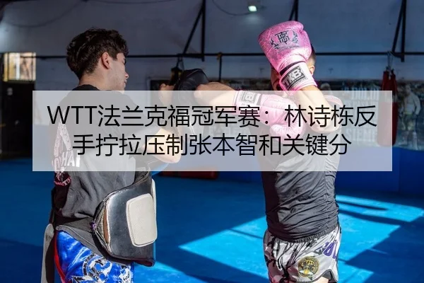 WTT法兰克福冠军赛：林诗栋反手拧拉压制张本智和关键分